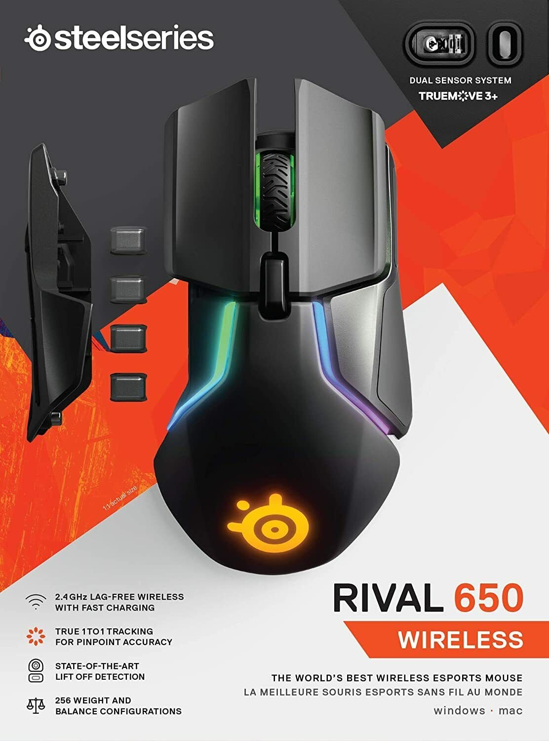 10-373.jpg