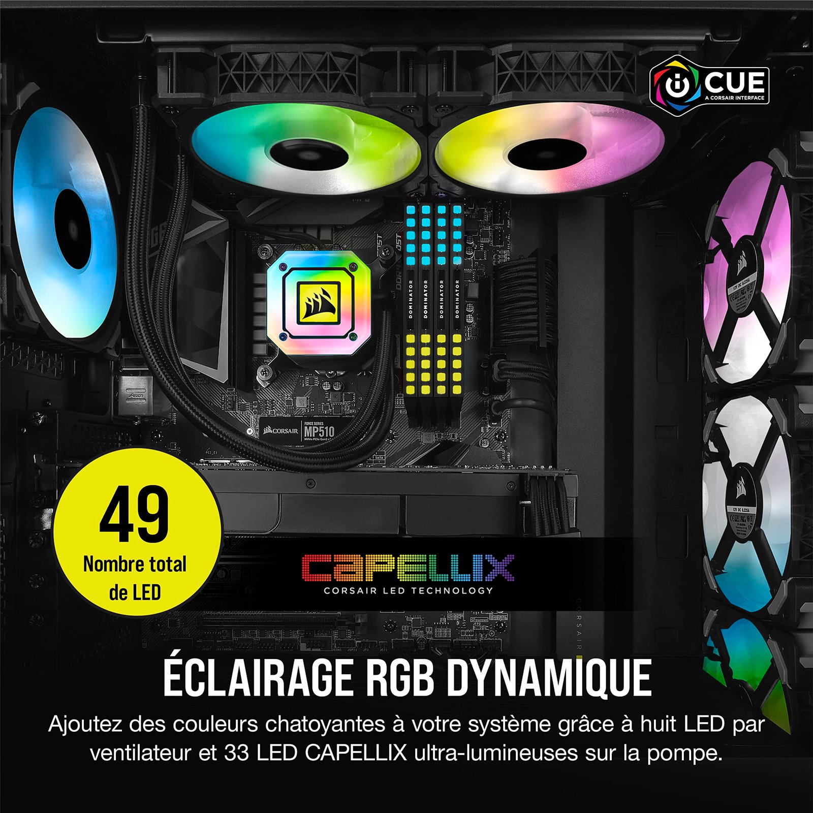 81Ftn2eXbL-1.jpg