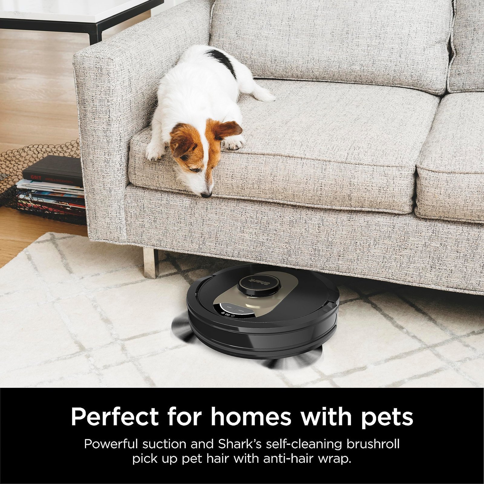 A1OOmE0o91L-2.jpg